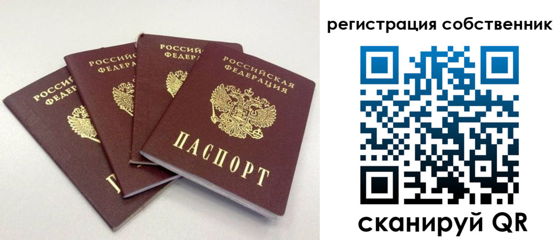 прописка для школы в Орловской области